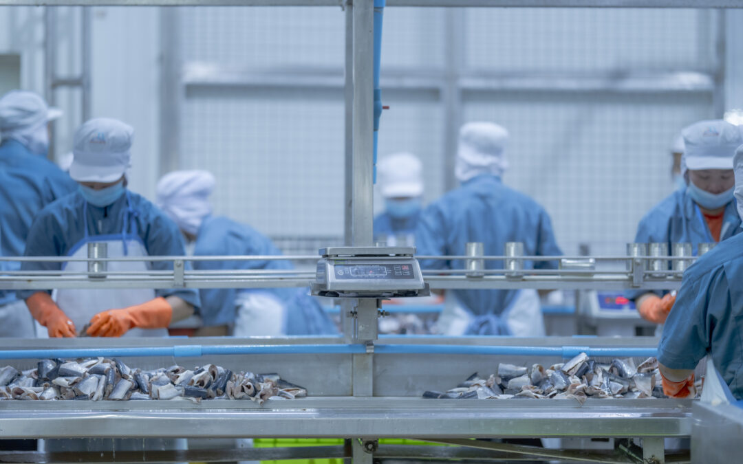 Fabrik 4.0: Wie Sie Ihre Transformation in 4 einfachen Schritten beginnen können