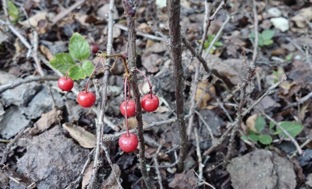 Sppu OEE 2025 Merit List : Optimiser l&rsquo;Efficacité Globale des Équipements