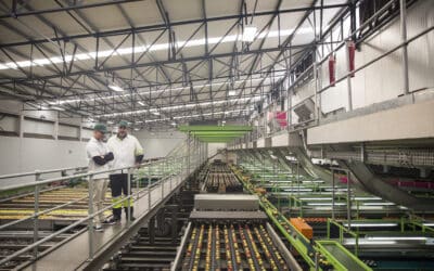 OEE en Production à la Commande vs Sur Stock : Guide des Stratégies d&rsquo;Optimisation